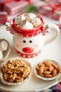 Delicious homemade christmas hot chocolate or cocoa with marshmellows