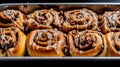 Delicious homemade cinnamon rolls tray Royalty Free Stock Photo