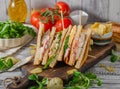 Delicious homemade club sandwich Royalty Free Stock Photo