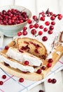 Delicious homemade cranberry loaf cake Royalty Free Stock Photo