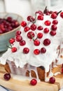 Delicious homemade cranberry loaf cake Royalty Free Stock Photo