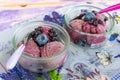 Delicious homemade lavender ice cream in a glass cup Royalty Free Stock Photo