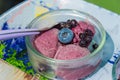 Delicious homemade lavender ice cream in a glass cup Royalty Free Stock Photo