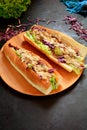 Homemade Chicken Barbecue Sandwich with Cheese and Vegetables Royalty Free Stock Photo