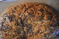 Beautiful very hearty bread homemade recipe. Brown bread with crispy crust, black caraway seeds and brown flax kernels. Royalty Free Stock Photo