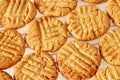 Delicious homemade peanut butter cookies on cooling rack. Cookies background. Healthy snack concept