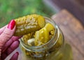 Delicious homemade pickled cucumbers. Woman`s hand holding a pickled cucumber Royalty Free Stock Photo