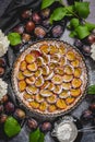 Delicious homemade plum tart with sugar powder and fresh fruits