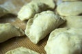 Delicious homemade Polish dumplings ready for cooking Royalty Free Stock Photo