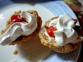 Delicious homemade scones with rosehip jam and devon cream