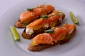 Delicious homemade smoked salmon gluten free canape Royalty Free Stock Photo