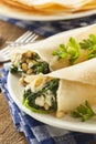 Delicious Homemade Spinach and Feta Savory French Crepes