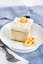 Delicious homemade vanilla and cream Three milk cake