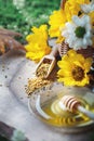 Delicious honey and fresh pollen of flowers on a wooden table. Selective focus.