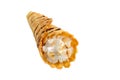 Delicious honeyed waffles, twisted into cones with cream, nuts, chocolate topping isolated on white background