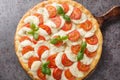 Delicious hot caprese pizza with mozzarella, tomatoes and basil leaves close-up on a wooden board. horizontal top view Royalty Free Stock Photo