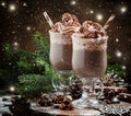 delicious hot chocolate with chocolate and whipped cream, decorated with snow-covered fir branches, pine cones, nuts, cinnamon