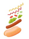 Delicious hot dog with flying ingredients like sesame seed bun, meat sausage, lettuce, tomato, cucumber, ketchup and