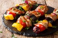 Delicious hot grill shish kebab from pork with vegetables, serve