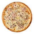 Delicious hot italian Pizza with mushroom sauce, ham, mushrooms, oregano and cheese mozzarella Royalty Free Stock Photo