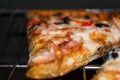 Delicious hot pizza in the oven