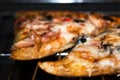 Delicious hot pizza in the oven