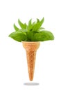 Delicious ice cream cone with basil taste Royalty Free Stock Photo