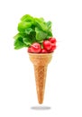 Delicious ice cream cone with radishes taste Royalty Free Stock Photo