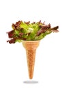 Delicious ice cream cone with salad taste Royalty Free Stock Photo