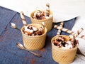 Delicious ice cream in a cup with chocolate sauce Royalty Free Stock Photo