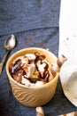 Delicious ice cream in a cup with chocolate sauce Royalty Free Stock Photo