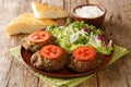 Delicious Indian food Chapli Kebab lamb patties with fresh vegetables close up in a plate. horizontal