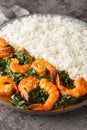 Delicious Indian prawn and spinach curry served with rice closeup on the plate. Vertical Royalty Free Stock Photo