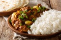 Delicious Indian Punjabi chicken dopiaza with onions served with