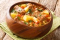 Delicious Italian beef stew with wine, potatoes, carrots, onions and celery close-up in a bowl. horizontal Royalty Free Stock Photo