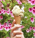 Delicious italian ice cream - pistachio ice cream in cone Royalty Free Stock Photo