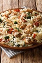 Delicious Italian pasta orzo with fried chicken, dried tomatoes, spinach and cheese closeup on a plate. vertical