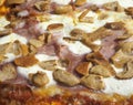 Delicious Italian pizza with ham and mushrooms, cooked in the wood oven Royalty Free Stock Photo