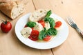 Delicious italian salad Royalty Free Stock Photo