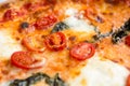 Delicious italian style pizza with tomatoes, mozarella and basil. Royalty Free Stock Photo