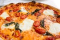 Delicious italian style pizza with tomatoes, mozarella and basil. Royalty Free Stock Photo