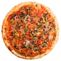 Delicious italian vegetarian pizza with tomatoes, mushrooms, peppers, onion and black olives Royalty Free Stock Photo