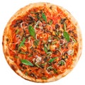 Delicious italian vegetarian pizza with tomatoes, mushrooms, peppers, onion and black olives Royalty Free Stock Photo