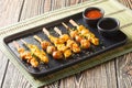 Delicious Japanese-style chicken skewers served with two sauces close-up on a plate. Horizontal Royalty Free Stock Photo