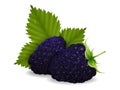 Delicious juicy blackberry berries with leaves on a white background.