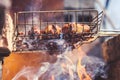 Delicious juicy meat on a grill is fried on a fire Royalty Free Stock Photo