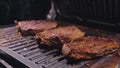 Delicious juicy meat steak cooking on grill. Prime beef fry on electric roaster, rosemary, black pepper, salt. Slow Royalty Free Stock Photo