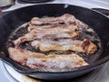 Delicious, juicy raw bacon cooking in a medium sized cast iron skillet Royalty Free Stock Photo