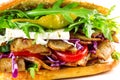 Delicious kebab sandwich isolated