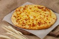 Delicious khachapuri with wheat ears on sacking Royalty Free Stock Photo